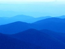 푸른 언덕